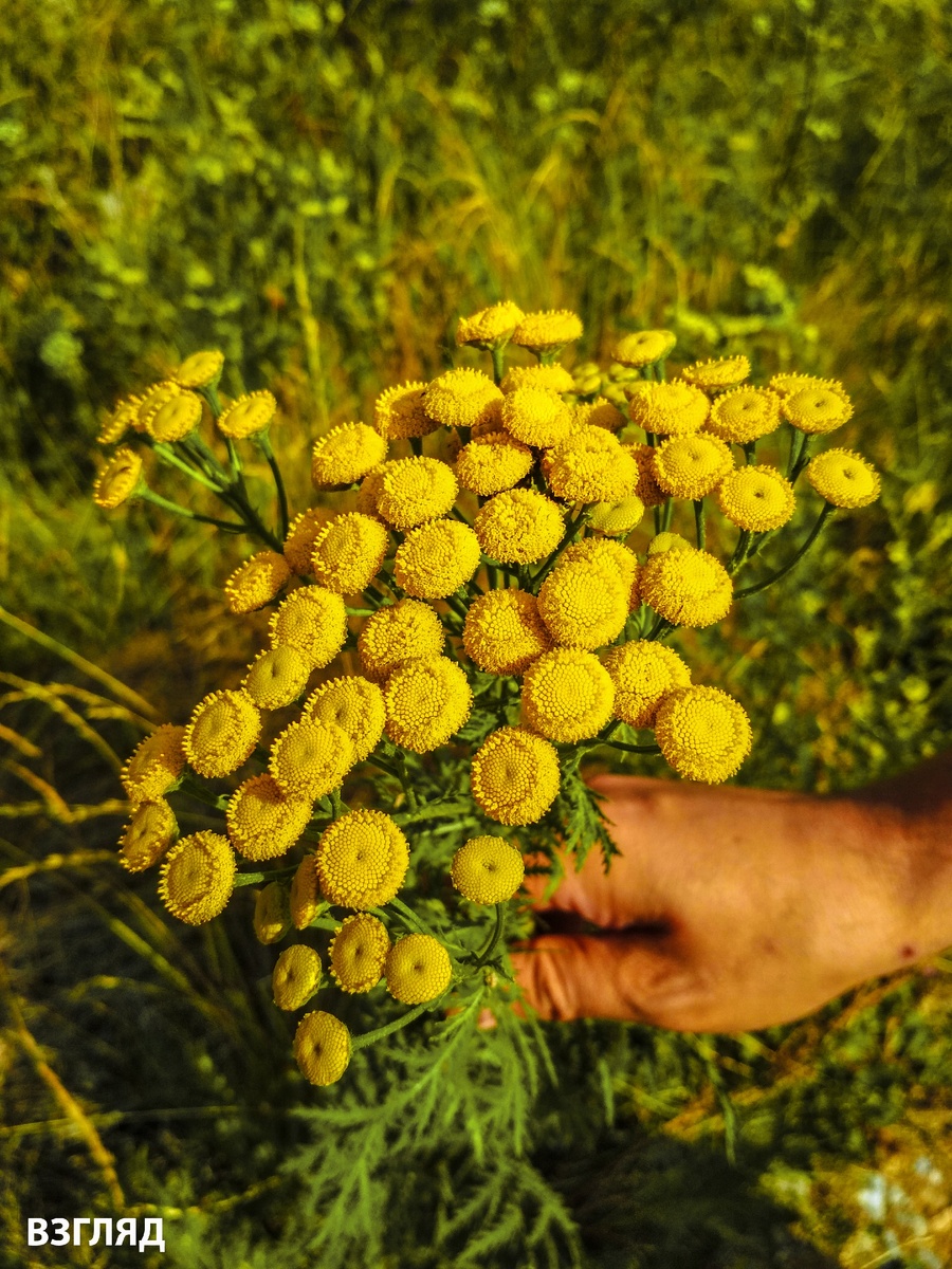 Фото автора.