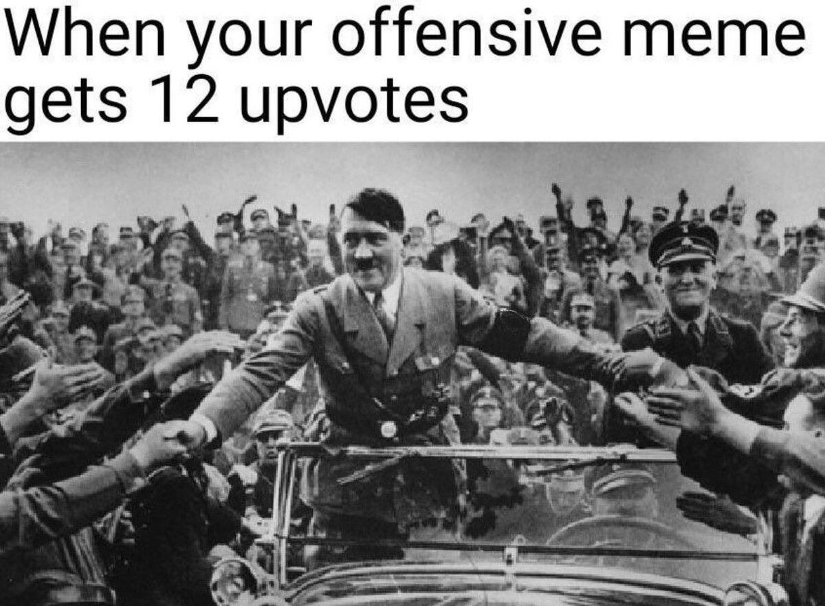 когда твой агрессивный пост набирает 12 лайков (аккуратно замазанная свастика нисколько не вызывает у вас любопытство)