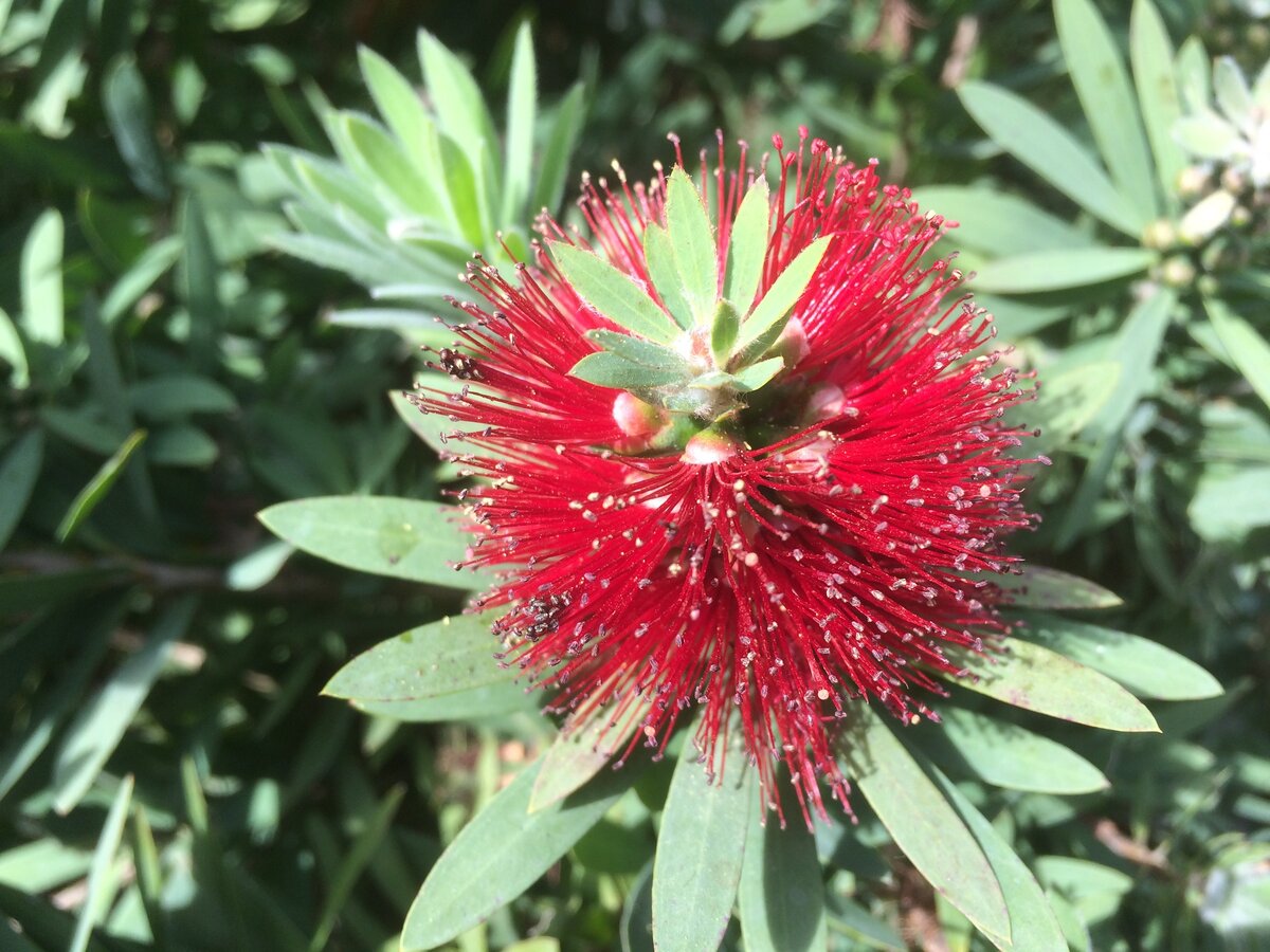 Полюбуйтесь мною