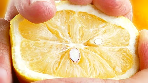 Источник фото: https://clck.ru/Q5AXR