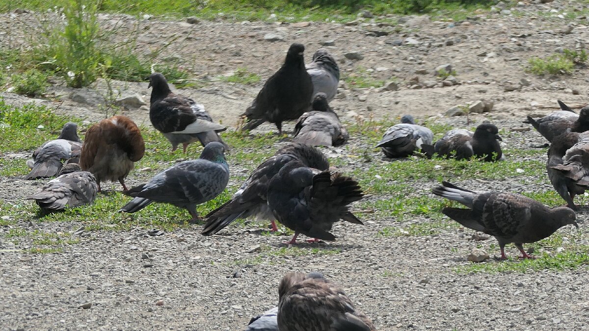 f 7.1  iso- 200  1\160с  790мм.