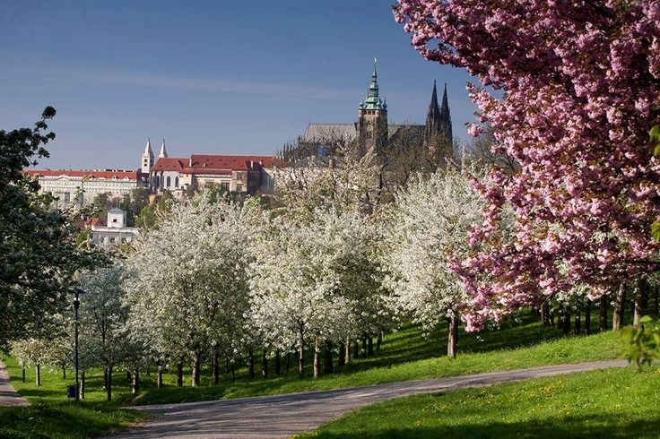 Вишневый сад