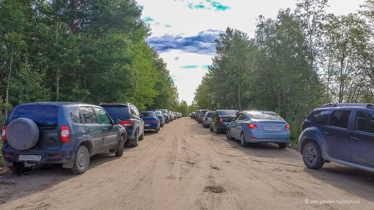 Было очень неожиданно увидеть столько автомобилей в лесу
