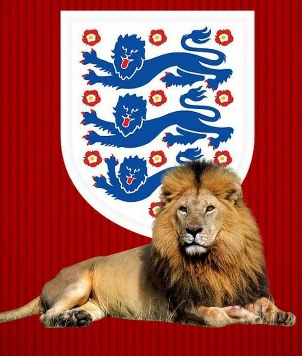3 льва и 10 тюдоровских роз на эмблеме Футбольной ассоциации Англии