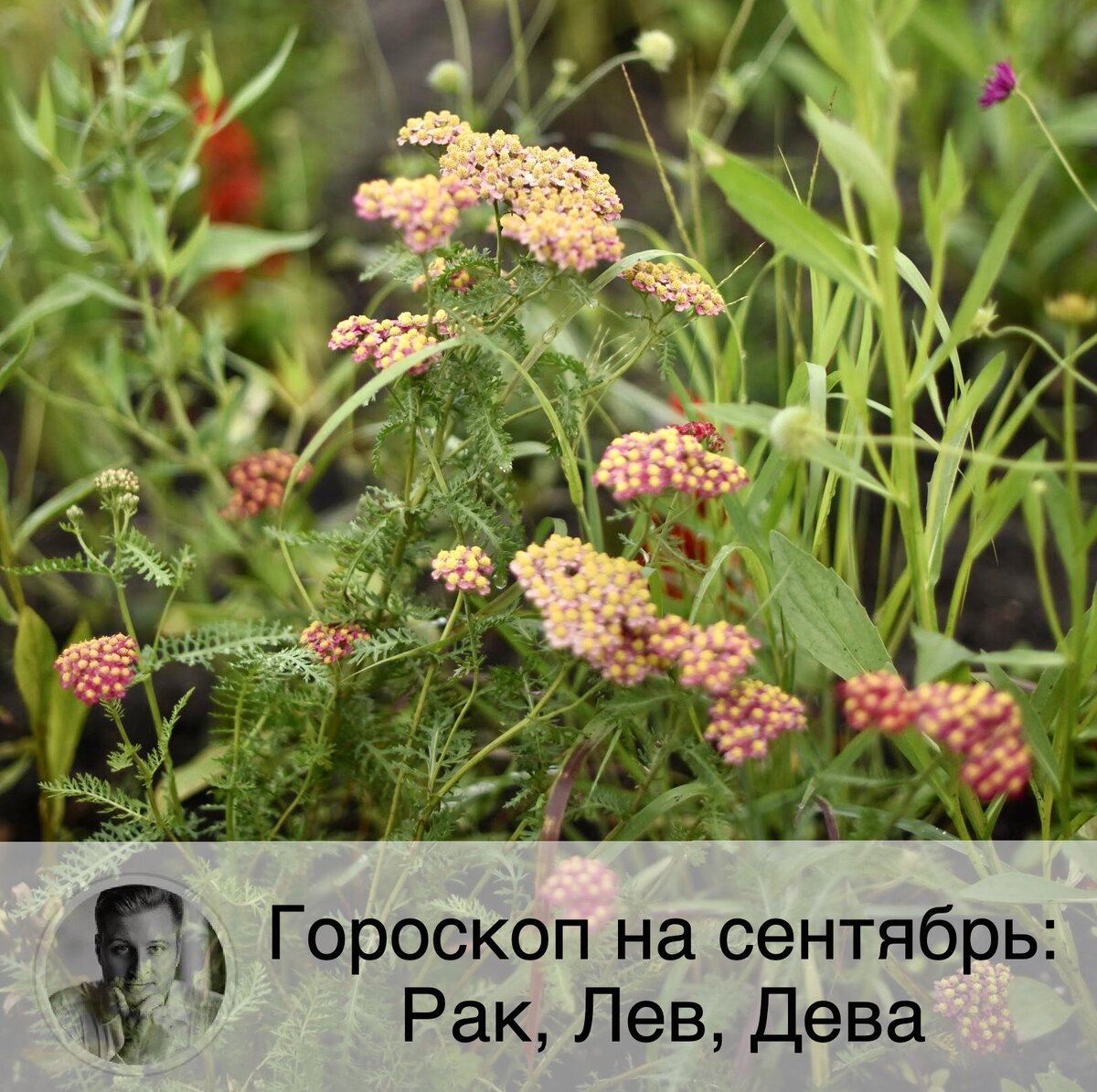 Подписывайтесь на наш канал, друзья!
🦀 Рак ❤️ В сентябре Раки будут много времени уделять семье и домашним делам. Личная жизнь будет на подъёме. Одинокие представители знака будут с удовольствием флиртовать и знакомиться, что поспособствует завязыванию новых отношений. У семейных представителей знака сентябрь тоже пройдет довольно романтично. Сейчас хорошее время, чтоб сглаживать конфликты и находить путь примирения.
💶 В сентябре у Раков прибавится обязанностей и ответственности на работе, возможно вам поручат какой-то важный проект. Финансовая ситуация должна улучшиться, а доходы - увеличиться, особенно если вы не ленились последние месяцы. Будут завершаться старые проекты и начинаться новые.
🤒 В сентябре Раки будут склонны переоценивать свои силы, поэтому постарайтесь не перегружать себя на спорте.

🦁 Лев
❤️ Одиноким Львам рекомендуется пересмотреть свои ожидания и снизить требования к потенциальному партнеру, идеальных людей не существует. У Львов, состоящих в отношениях, могут быть конфликты с партнером, если он не будет уделять достаточно внимания вам.
💶 Льву рекомендуется активно начать работать в сентябре и продемонстрировать всё, на что вы способны. Постарайтесь доводить дела до конца. Если вы не ленились последние месяцы, то в сентябре результаты труда порадуют вас. Может быть сразу несколько новых проектов. Ваше материальное положение должно улучшиться. Возможен незапланированный доход и продвижение по службе.
🤒 Сейчас хорошее время, чтобы сбросить несколько лишних килограмм.

💃🏻 Дева
❤️ Одинокие представители знака скорее всего отложат поиск второй половинки. В существующих отношениях возможно некое отдаление от партнера.
💶 Если на протяжении месяца Дева не будет лениться, то к его концу получит отличный результат своего труда. И скорее всего, вы будете много работать, особое внимание обращая на документы. В этом месяце вы скорее предпочтете копить, чем тратить. Финансам также будет посвящено много внимания: вы будете закрывать долги, постоянно подсчитывать приход-расход, проверять финансовые документы и т.д., - это станет основной темой месяца. Вы сможете найти новых финансовых партнеров. Финансовая ситуация будет хорошей.
🤒 В сентябре особенно страдать будет нервная система