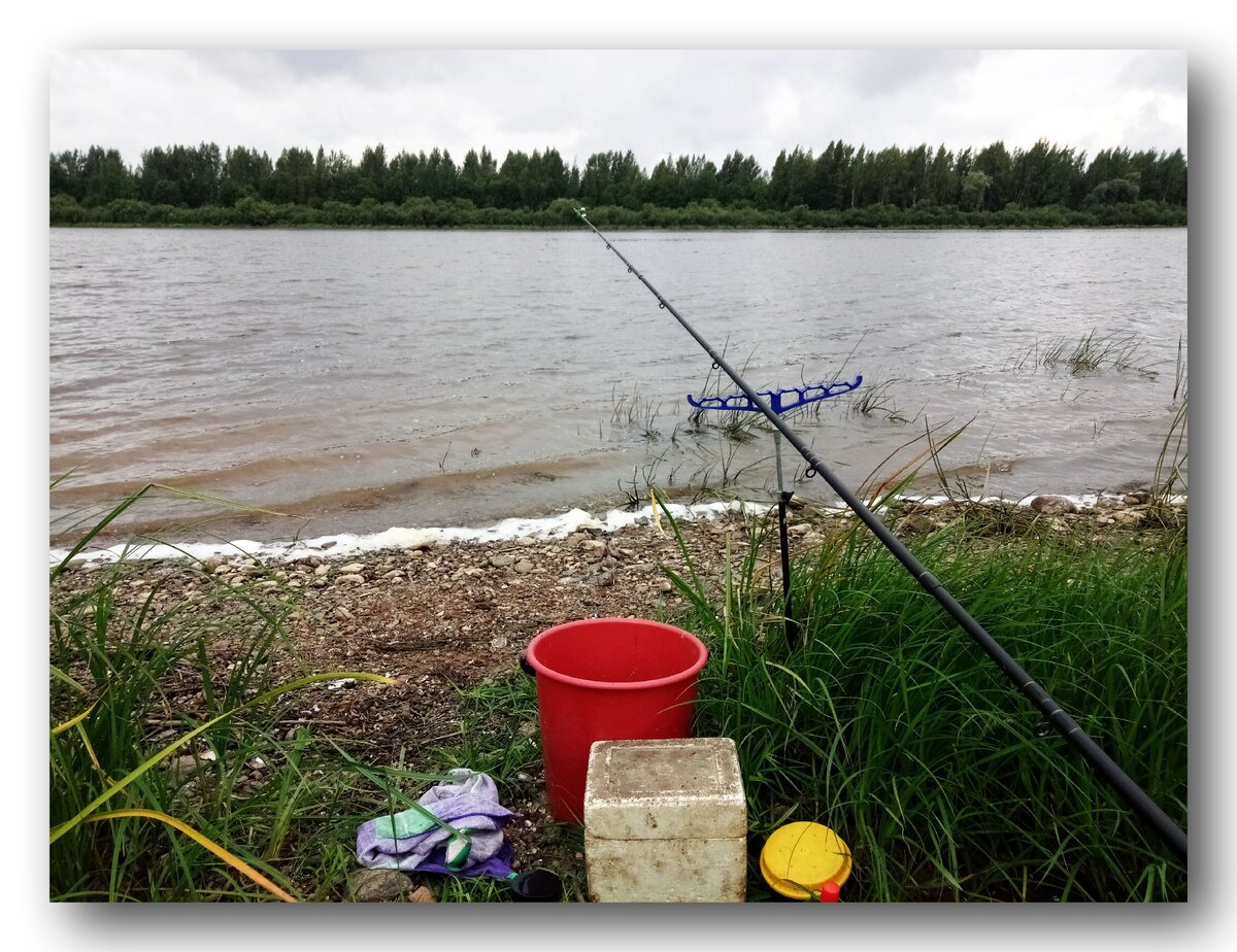 Река Волхов Новгородская область /Авторское фото/