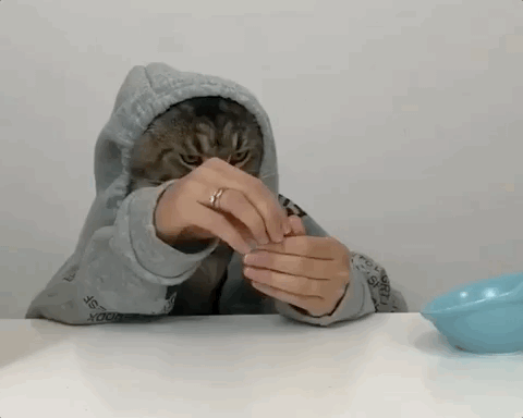 Сейчас проще научить котика писать статьи, чем найти действительно опытного специалиста, который выдаст вам качество и вообще что-то выдаст после вашей предоплаты