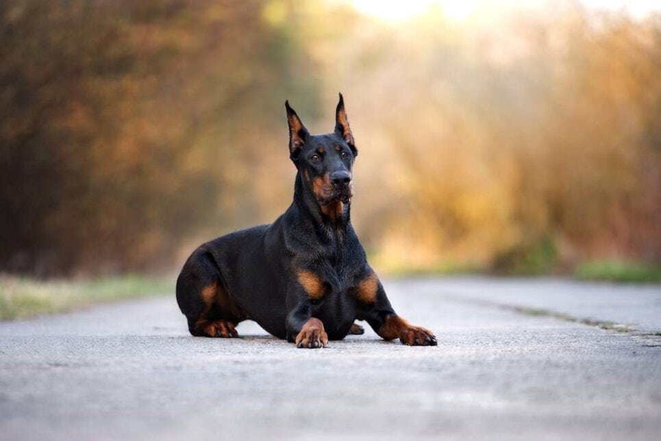                                                        Оцените мою статью пожалуйста