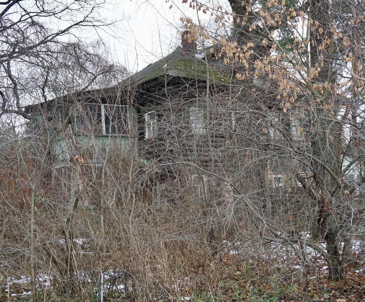 Деревянные дачи старого Никольского | Фёдор Тенин | Дзен