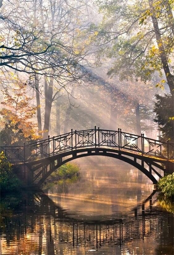 Источник: https://fi.pinterest.com/pin/251146116712368245/