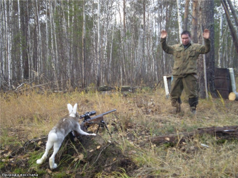 Охотник в лесу. Охотник охотится на зайца. Осенней ночью я возвращался с охоты