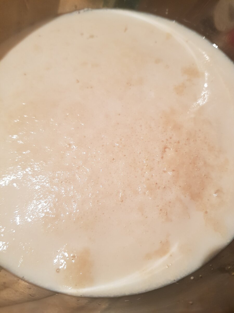 Вот так выглядит опара, которая уже поднялась