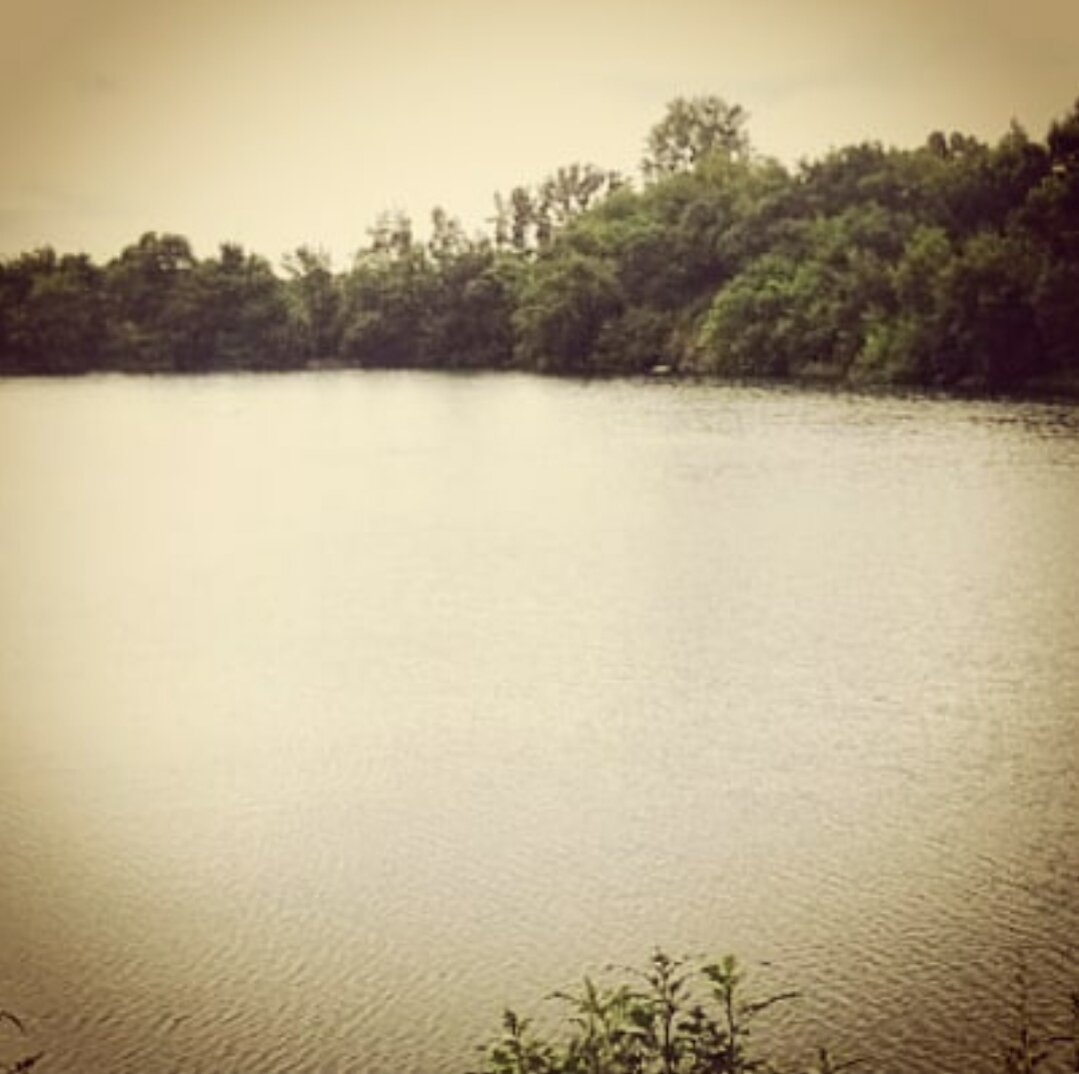 Сибиряков-Гвардейцев, 42 /2