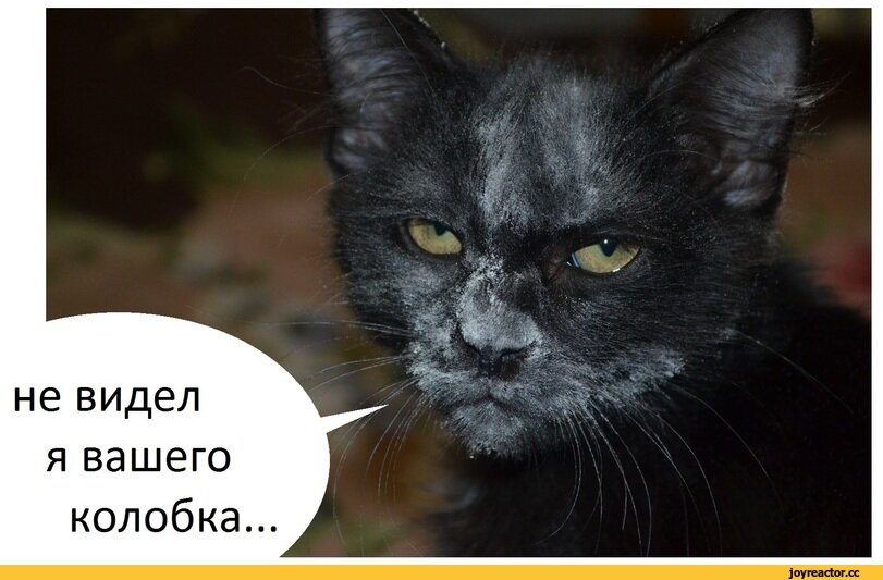 Ах ты ж хитрая жопа картинка