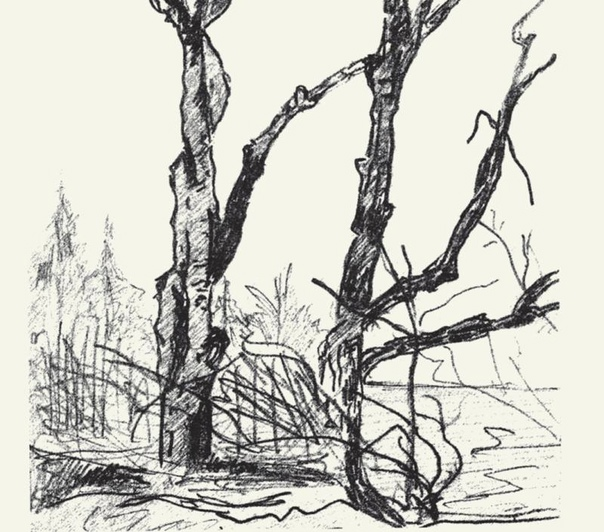 Рисунок Дмитрия Бакина