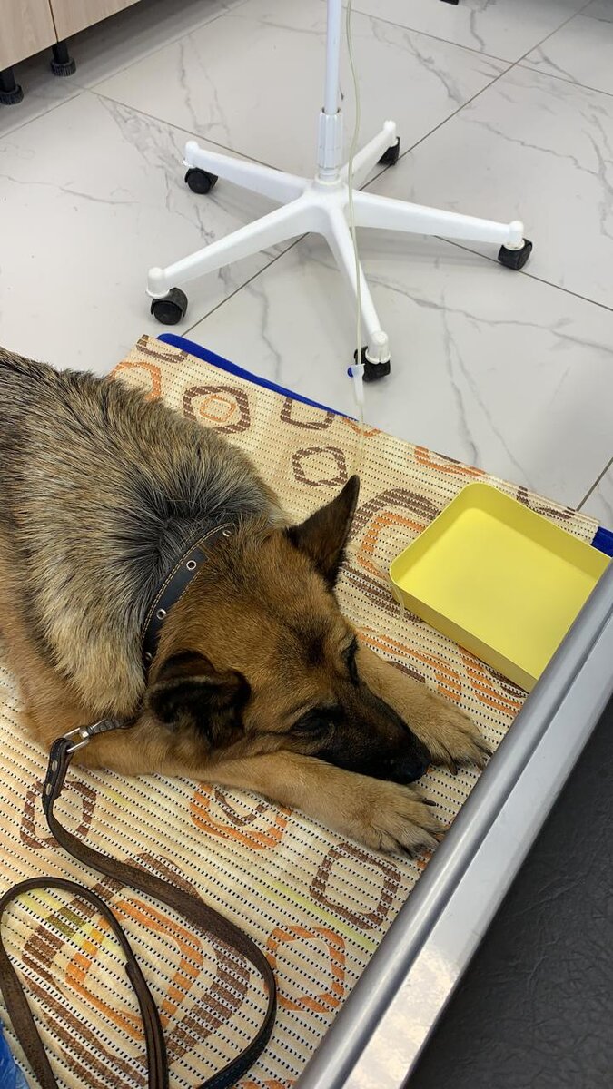 Лежит под капельницей 