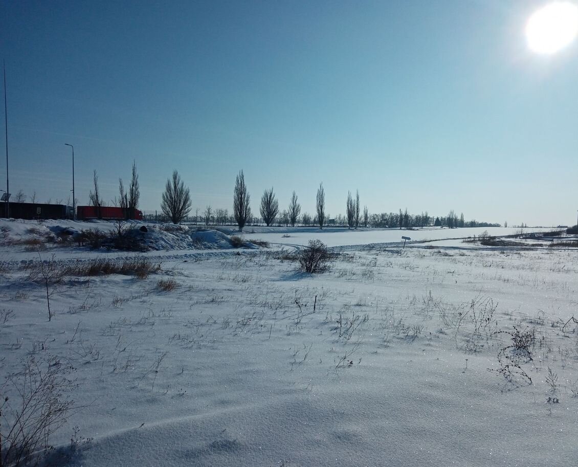 Собственное фото автора. За околицей моего посёлка. Фото 18. 01. 2021 г - первый снег!