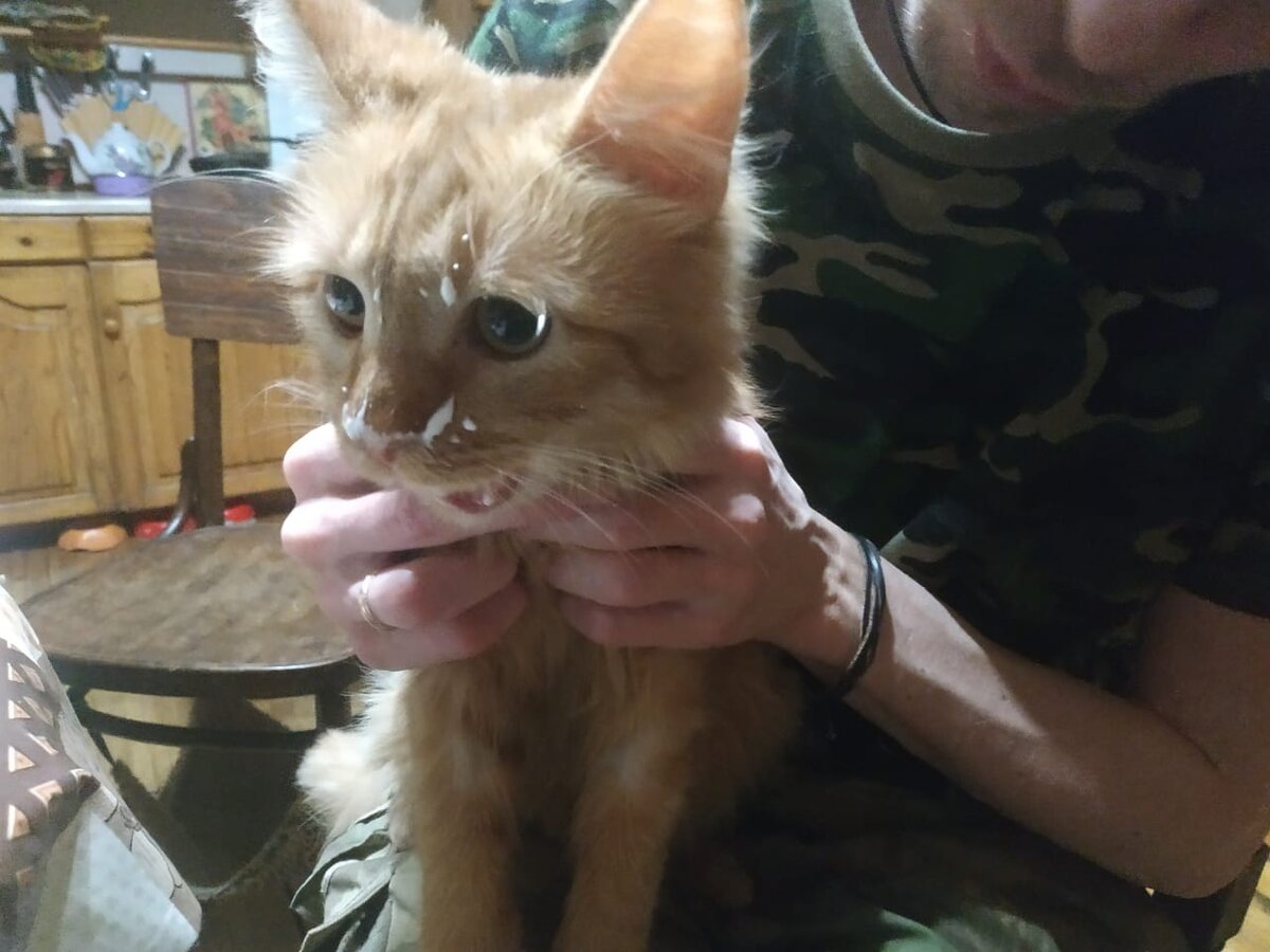 Рыжий сыночек, в 5 месяцев