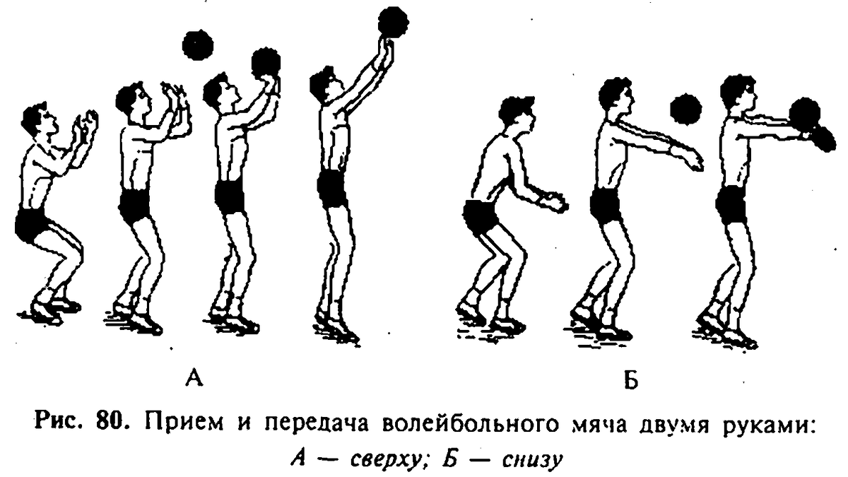 Волейбол передача мяча сверху и снизу