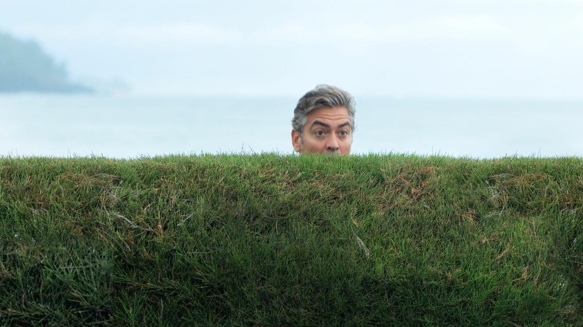 Кадр из фильма "Потомки". Режиссёр – Александр Пэйн