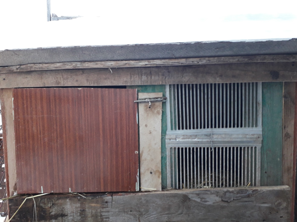 Вот будка где они живут.