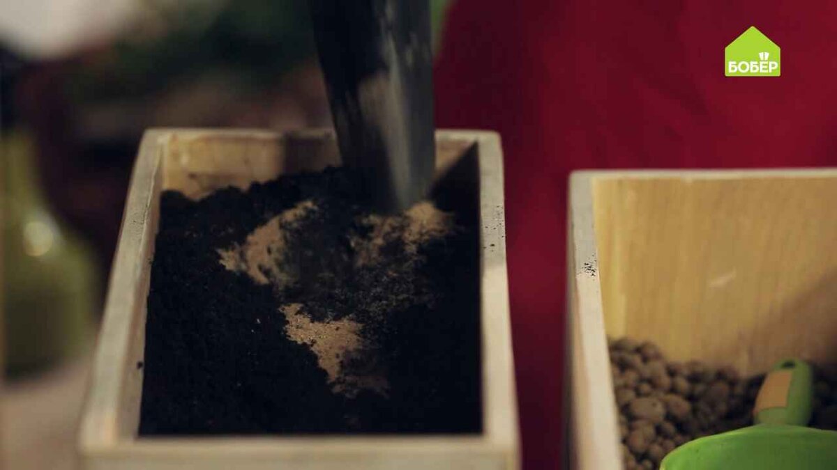 К лиственно-дерновой земле добавьте уголь и песок.