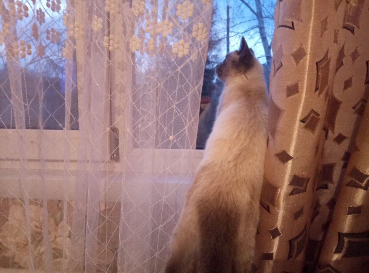 то в другое...