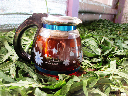 фото с https://stock.adobe.com