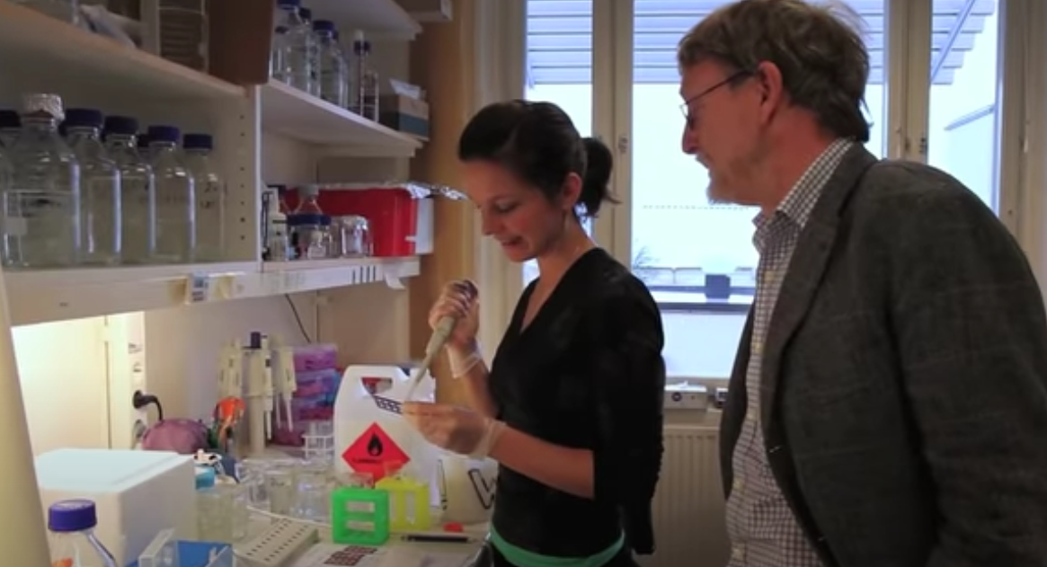 Как выгодно поступить в шведский вуз по программе Erasmus и не вылетить. История одного студента из России.