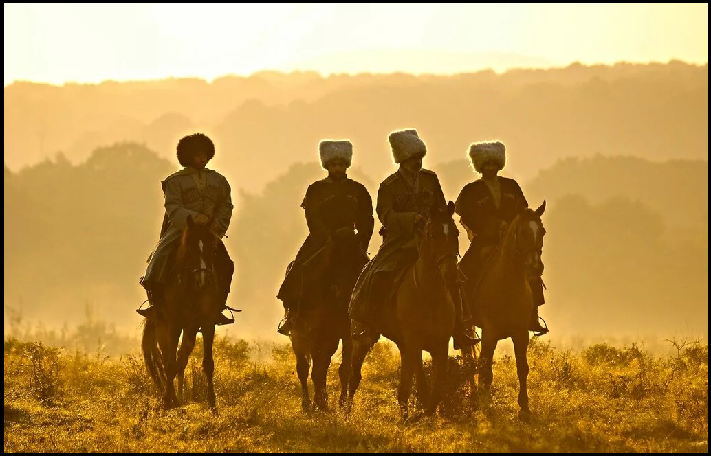 кадры из док.фильма Дикая Дивизия (изображение взято из открытых источников)