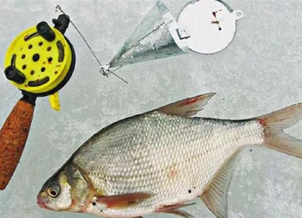 Лещ на зиму рецепты. Спускник для зимней рыбалки на леща. Лещ на зиму рецепты. Прикормка карп лещ сазан. Язь,густера плотва.