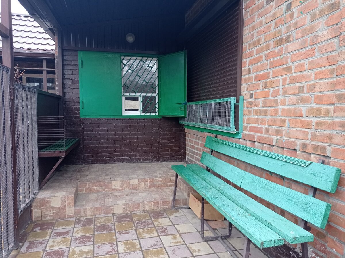 Пенсионерке-предпринимателю под 80, но она смогла обустроить ларек в доме так, чтобы сюда с удовольствием приходили покупатели.