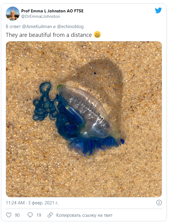 Твит профессора