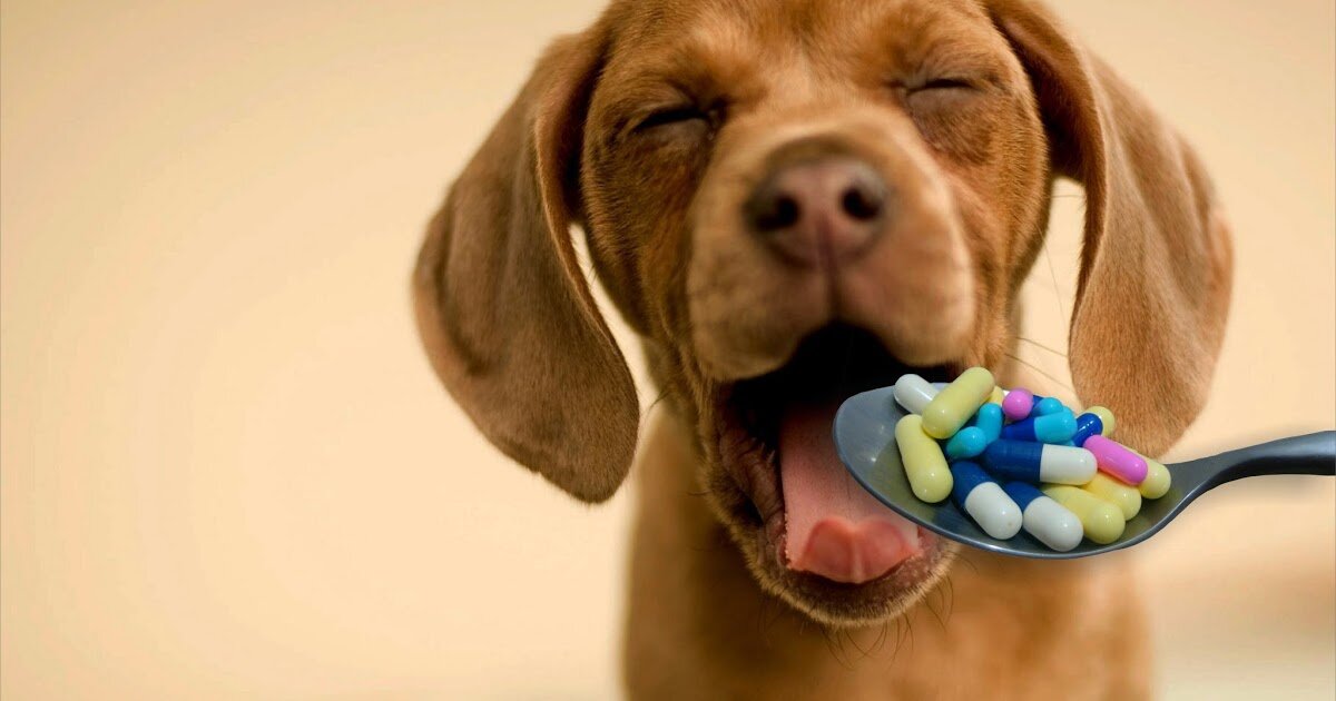 Яндекс картинки