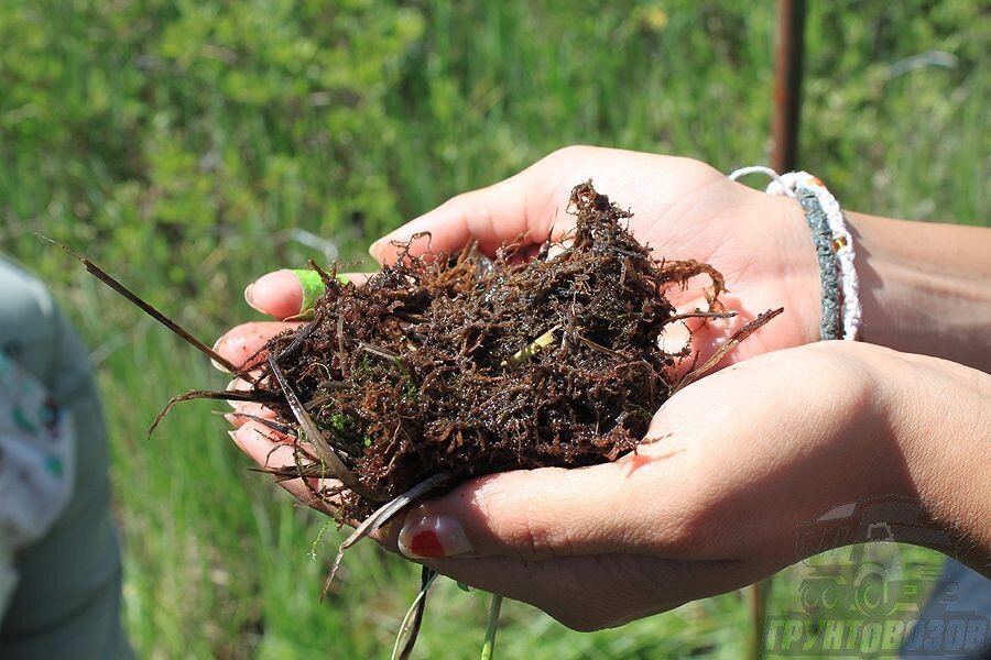 На основе торфа можно приготовить удобрения