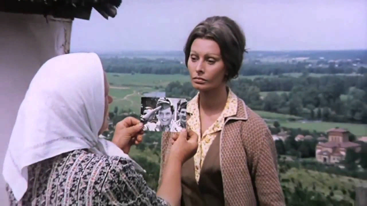 Софи лорен подсолнухи. Софи лорен подсолнухи. Софи лорен подсолнухи. Софи лорен марчелло мастроянни подсолнухи. Марчелло мастроянни подсолнухи.