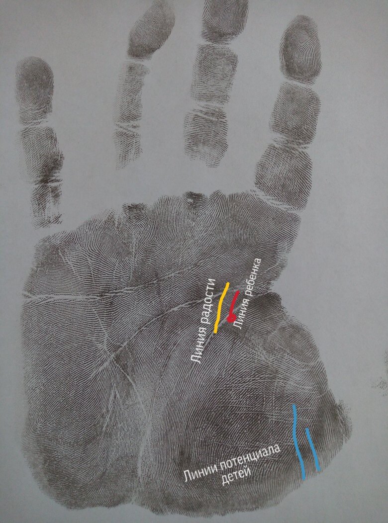 Схема линий детей и линии радости