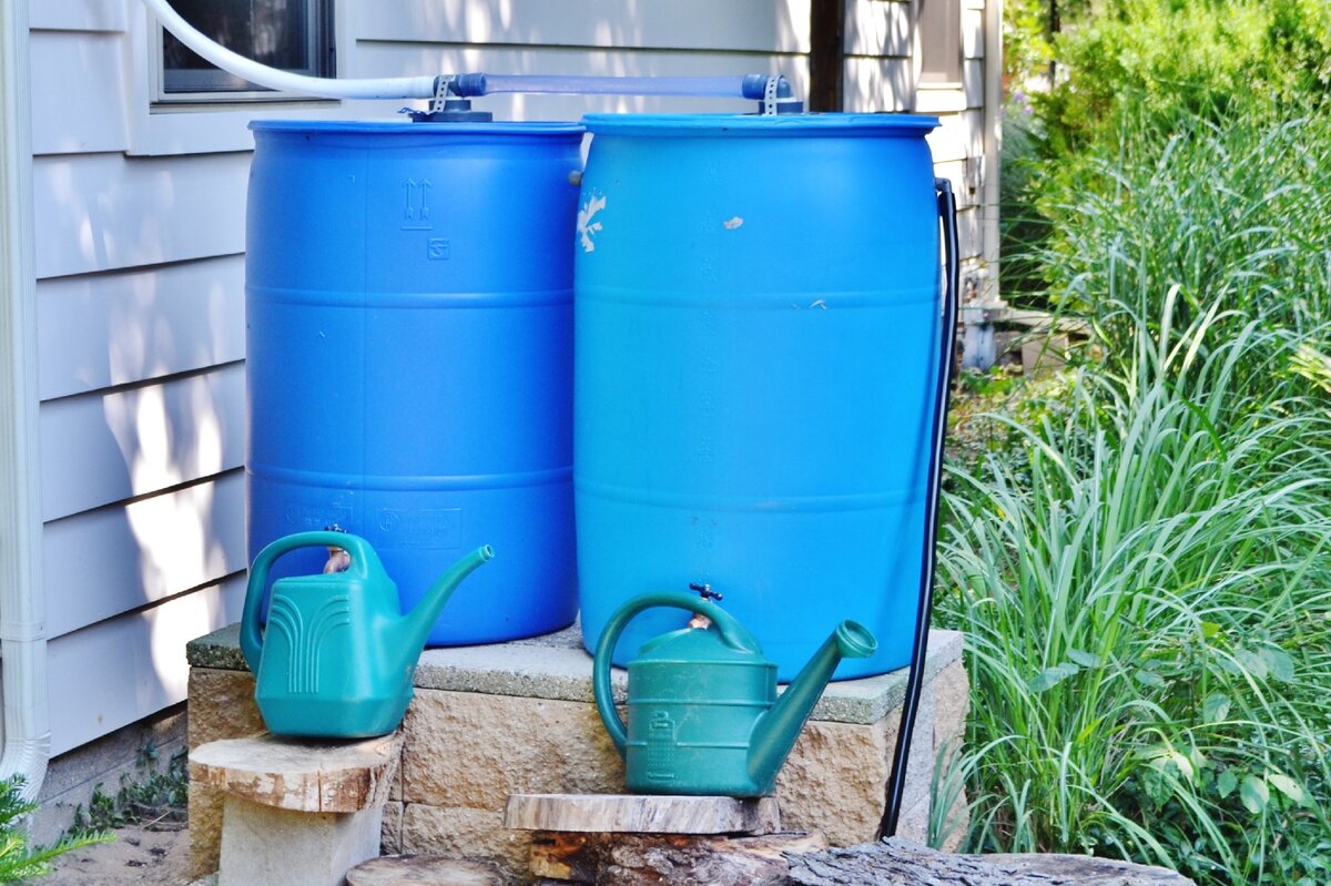 Чистая ли дождевая вода. Дождевая бочка Rain Barrel.