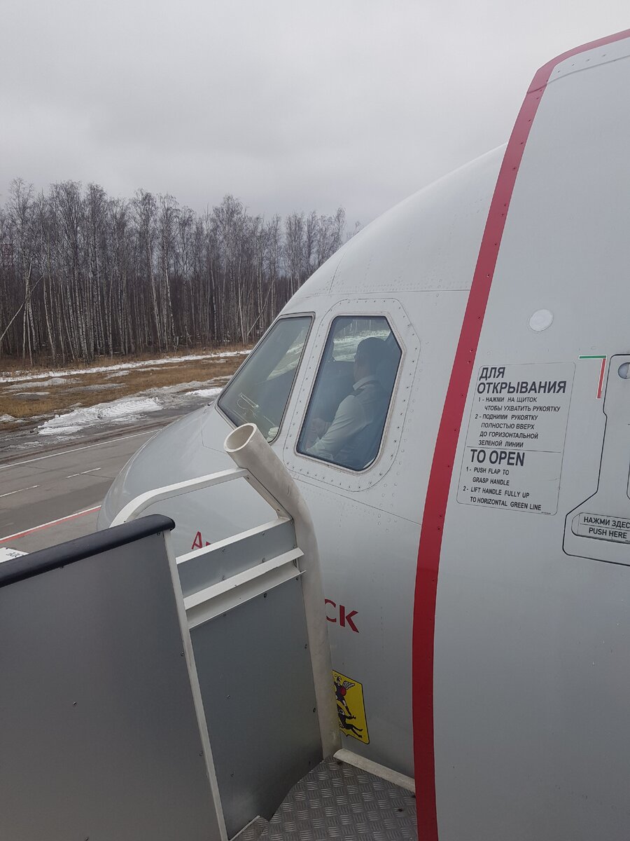 Наш самолёт и наш пилот