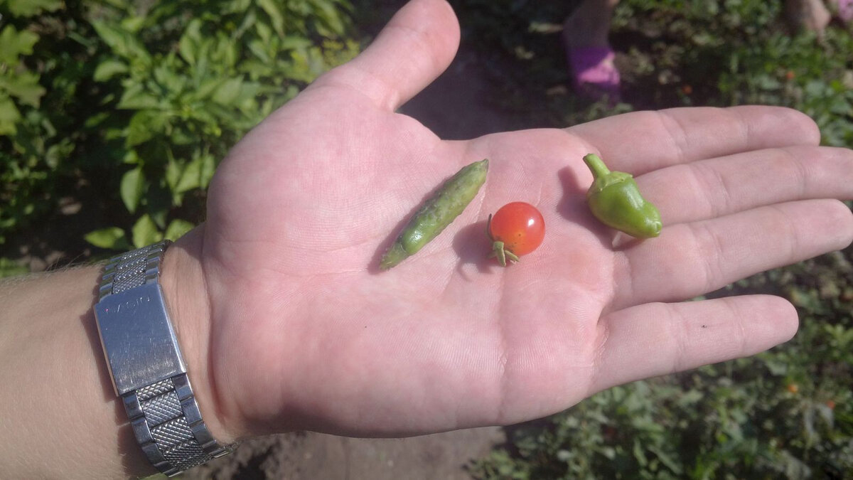 фото cdn.fishki.net