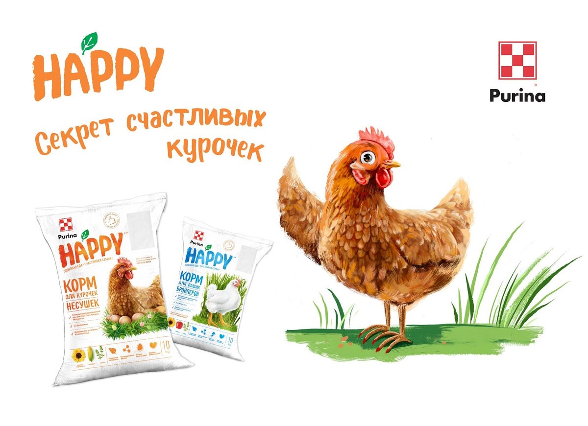 Какой корм лучше подходит для кур-несушек: гранулы или крупка?