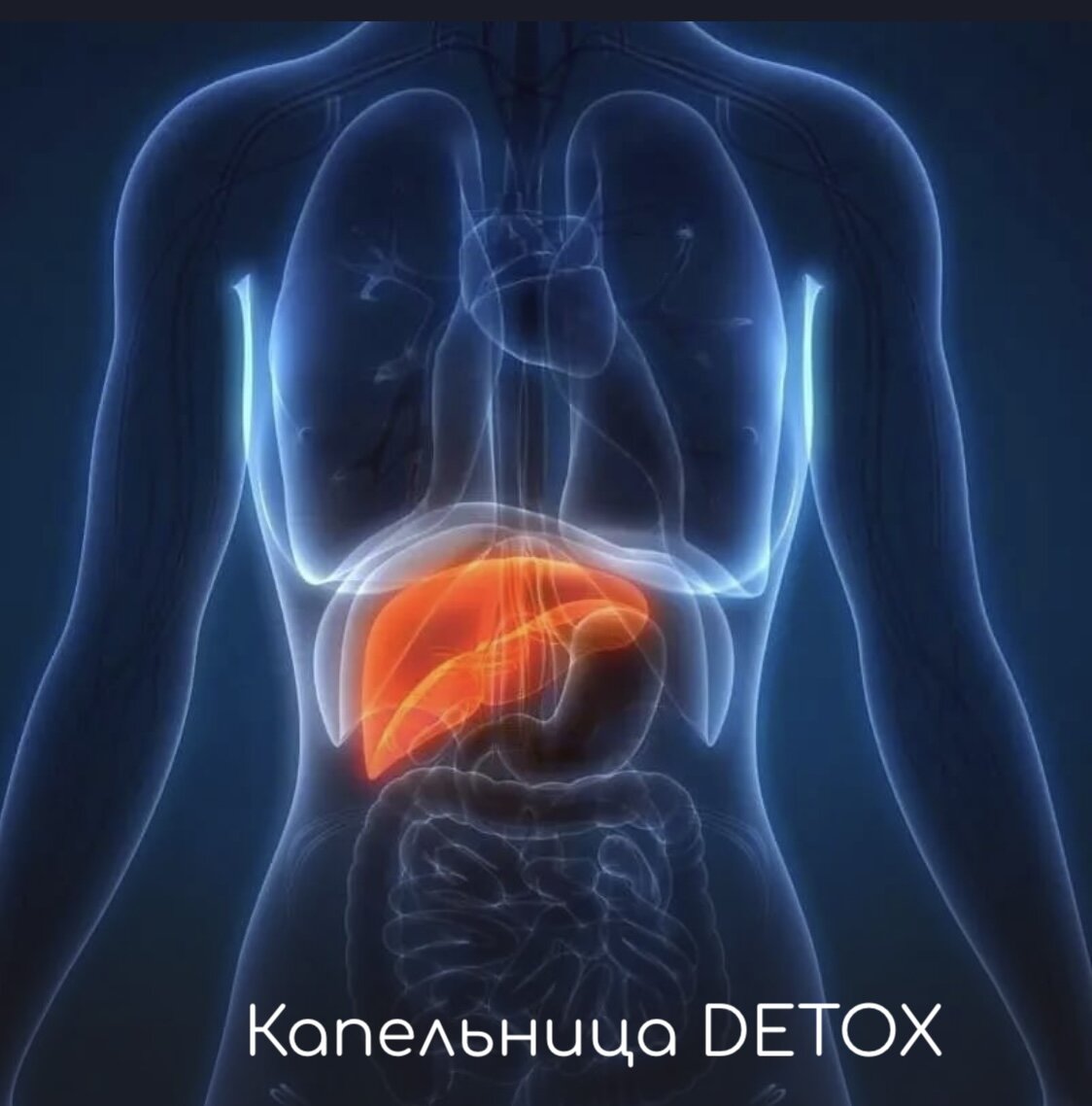 Капельница Detox | Клиника Sante на Университете | Дзен