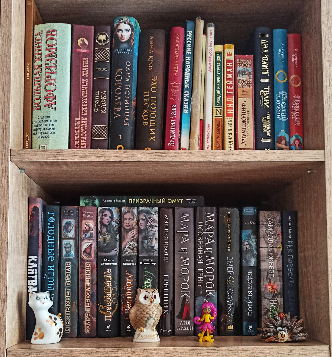 Книжные полки