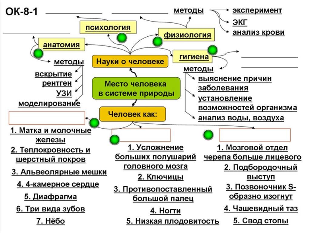 Новая система природы