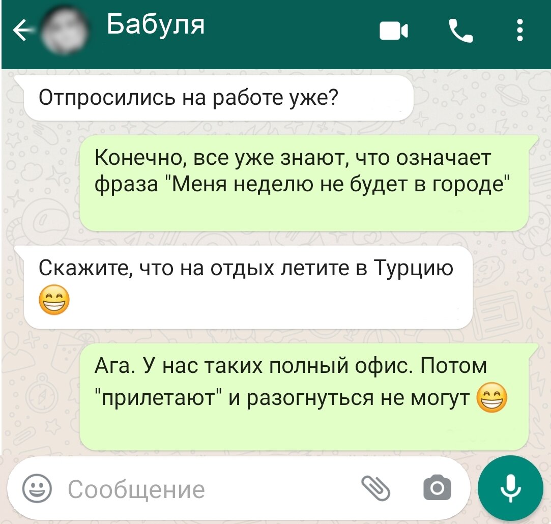 5 Смешных переписок с бабушкой, где она хитро просит выкопать картошку |  Заметки молодого отца | Дзен