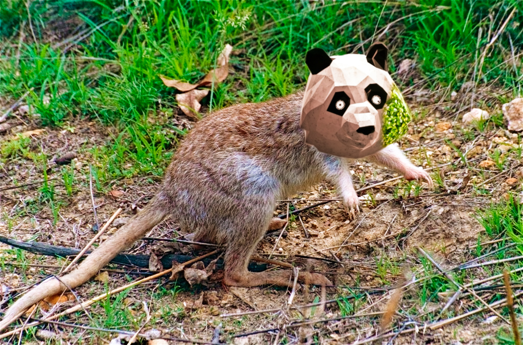 СОВА: -а можно попить?