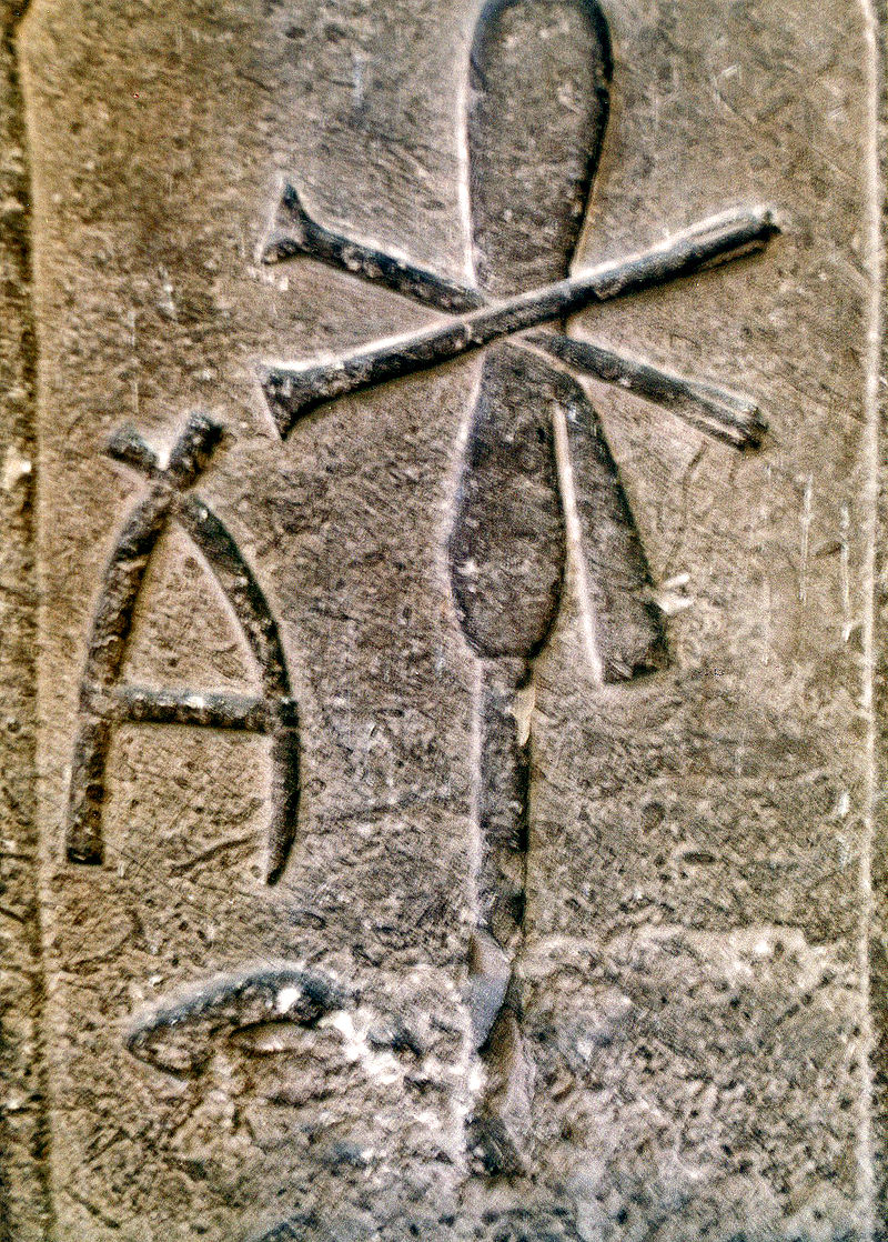 By Juan R. Lazaro - Photo by Juan R. Lazaro source, CC BY 2.0, https://commons.wikimedia.org/w/index.php?curid=26376960