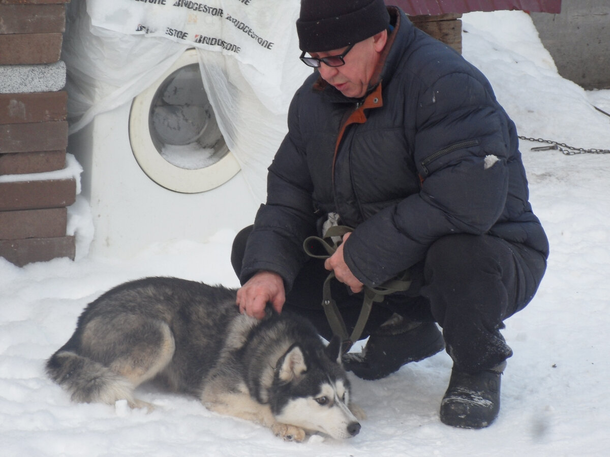 Вьюга, только привезли, видно,что боится.