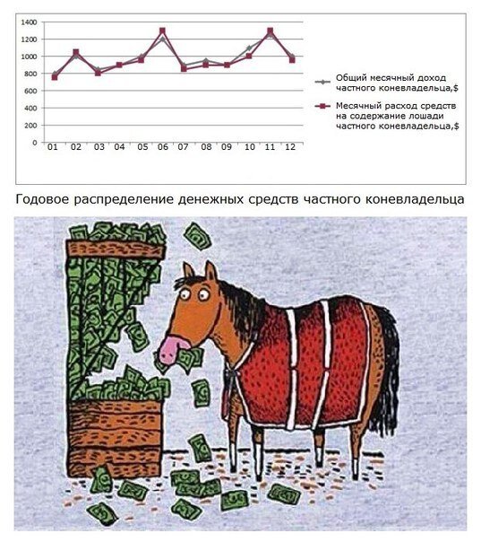 Изображение взято из открытых источников