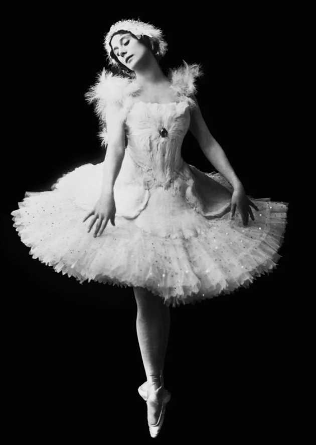 �������� ���� �������� �������